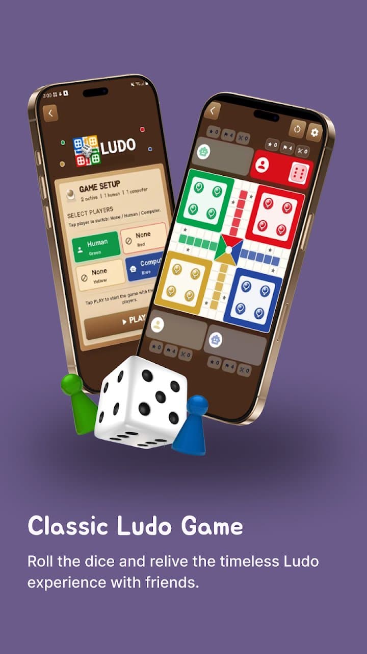 Ludo game setup and board